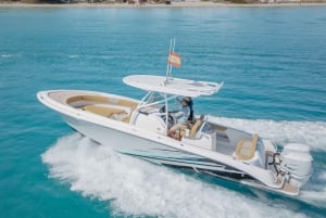 Pronautica 880 Open Sport Boat Aluguel com licença 4 horas