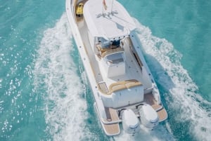 Pronautica 880 Open Sport Boat Rental med licens 4 timer