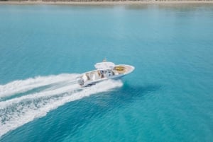 Pronautica 880 Open Sportboot Verhuur met Licentie 4 uur