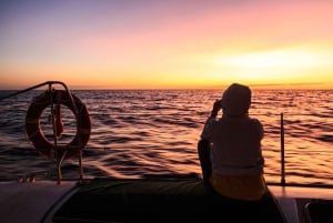 Puerto Alcudia: Pohjoisrannikon veneretki uinnilla ja snorklauksella