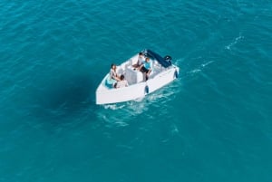 Puerto de Alcudia: 8 timers bådtur med charterbåd langs kysten