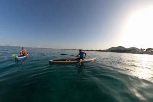 Puerto de Alcudia: Stand-Up Paddleboard Lesson