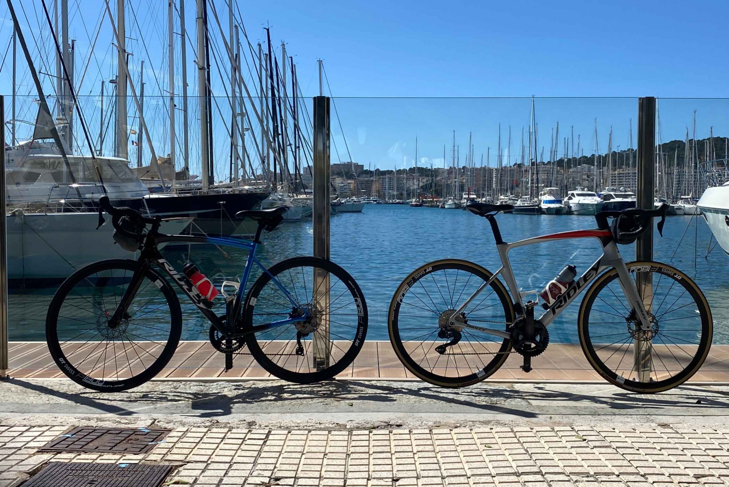 Puerto de Pollenca: Bike rental
