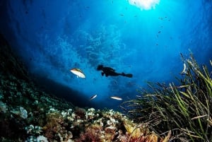 Puerto de Soller: Entrena y descubre el submarinismo