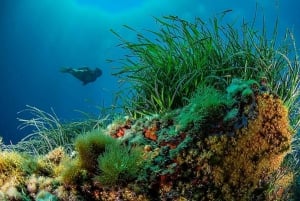 Puerto de Soller: Entrena y descubre el submarinismo