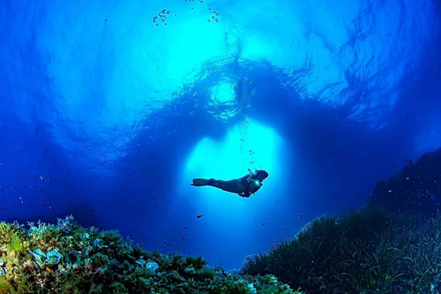 Puerto de Soller : Formation et expérience de plongée sous-marine guidée