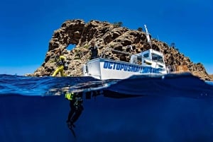 Puerto de Soller: Train and Guided Scuba Diving Experience