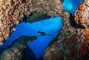 Puerto de Soller: Tog og guidet dykkeropplevelse
