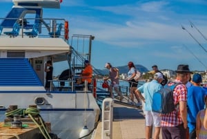 Puerto Pollença: Boat Trip to Formentor Beach