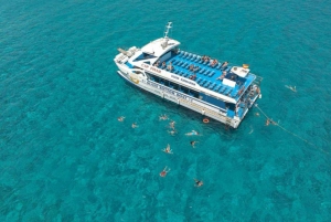 Puerto Pollensa: Boat Trip to Formentor & Beachfront Paella
