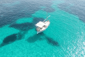 Puerto Portals: 100 % sähköinen mallorcalainen venekierros ammattitaitoisen kapteenin kanssa