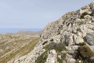 Puig Massanella , den høyeste tilgjengelige toppen på Mallorca.