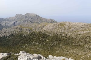 Puig Massanella , den høyeste tilgjengelige toppen på Mallorca.