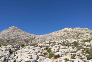 Puig Massanella , Mallorcan korkein saavutettavissa oleva huippu.