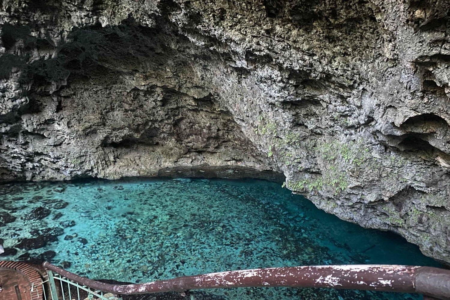 Punta Cana : visite de Saint-Domingue avec déjeuner et prise en charge à l'hôtel