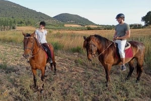 Randa: Guided Horseback Ride With Sunset View & Drinks