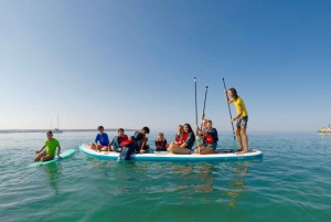 Miete ein Giant Stand Up Paddle XXL für Gruppen