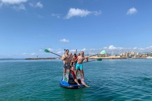 Miete ein Giant Stand Up Paddle XXL für Gruppen