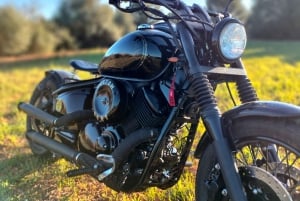 Aluguel de motocicleta 650cc / 1100cc Custom * Easy Rider Mallorca