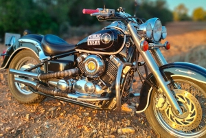 Noleggio moto 650cc / 1100cc Custom * Easy Rider Mallorca