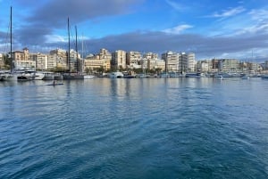 Segeltour: Erkunde die Bahia de Palma mit Tapas & Getränken