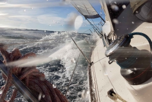 Passeio à vela: Explora a Bahia de Palma com tapas e bebidas