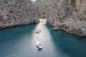 Passeio à vela: Explora a Bahia de Palma com tapas e bebidas