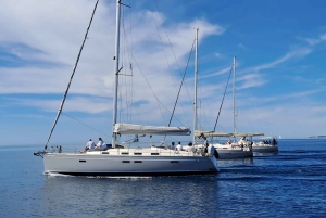 Passeio à vela: Explora a Bahia de Palma com tapas e bebidas