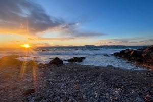 Santa Ponca: CoupleWalk, sjov leg og byvandring for par