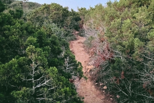 Santa Ponsa: Self-Guided Outdoor Escape Game