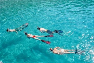 Santa Ponsa : Excursion de plongée avec masque et tuba dans une réserve marine