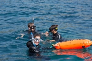 Santa Ponsa : Excursion de plongée avec masque et tuba dans une réserve marine