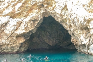 Santa Ponsa: Schnorchel Tour in einem Meeresschutzgebiet