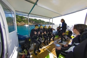 Santa Ponsa: Spróbuj nurkowania w rezerwacie morskim