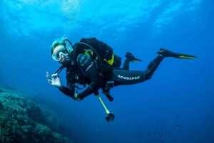 Santa Ponsa: Spróbuj nurkowania w rezerwacie morskim