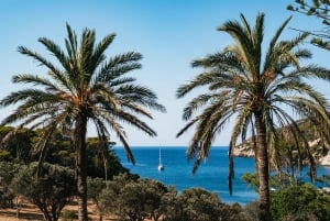 Santa Ponta/Peguera: Cruzeiro pela Ilha Dragonera com parada para nadar