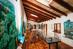 Santa Ponta/Peguera: Cruzeiro pela Ilha Dragonera com parada para nadar