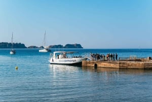 Santa Ponta/Peguera: Cruzeiro pela Ilha Dragonera com parada para nadar