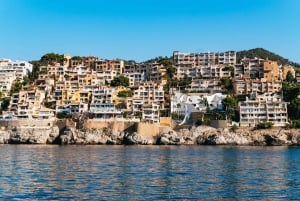 Santa Ponta/Peguera: Cruzeiro pela Ilha Dragonera com parada para nadar