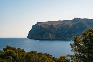 Santa Ponta/Peguera: Cruzeiro pela Ilha Dragonera com parada para nadar
