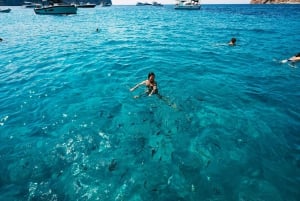 Santa Ponta/Peguera: Cruzeiro pela Ilha Dragonera com parada para nadar