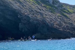 Mallorca: Paddleboardtour naar Cueva Verde met snorkelen
