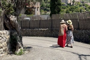 Rincón secretos y sabores de Mallorca en tour privado