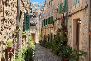 Mallorcan salaiset kulmat ja maut yksityisellä kiertokierroksella