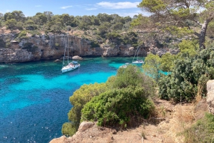 Mallorcan salaiset kulmat ja maut yksityisellä kiertokierroksella