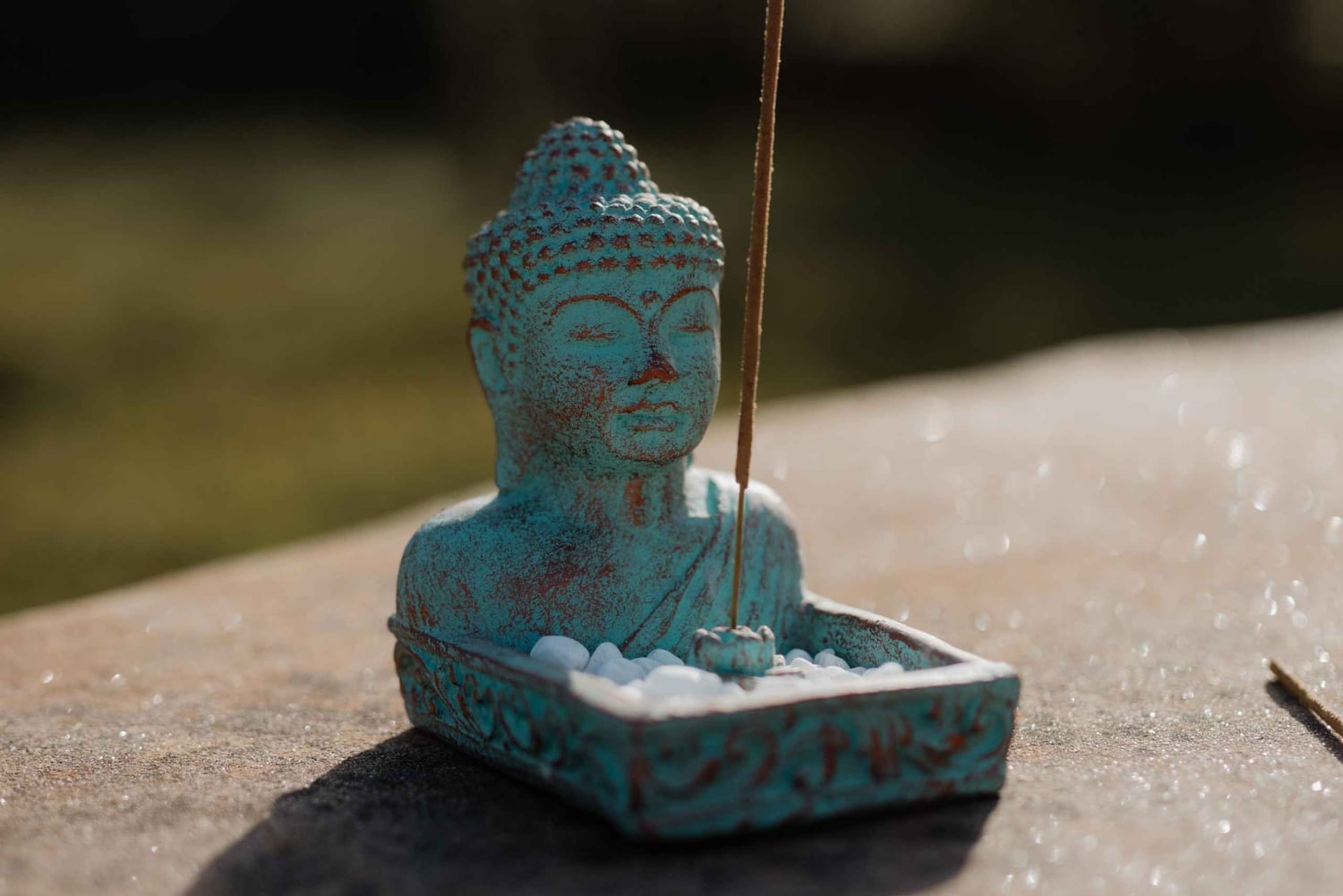 Selfness-uken på Holistic Life Center