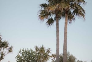 Selfness-uken på Holistic Life Center