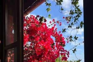 Selfness-uken på Holistic Life Center