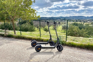 Selva: E-Scooter tour in the Countryside & idyllic villages