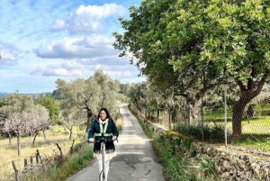 Selva: E-Scooter tour in the Countryside & idyllic villages